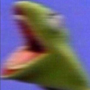 Meet your Posher, Abigail